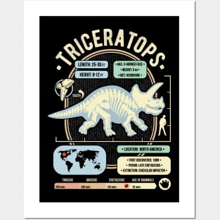 Dinosaur Facts - Triceratops Science & Anatomy Gift Posters and Art